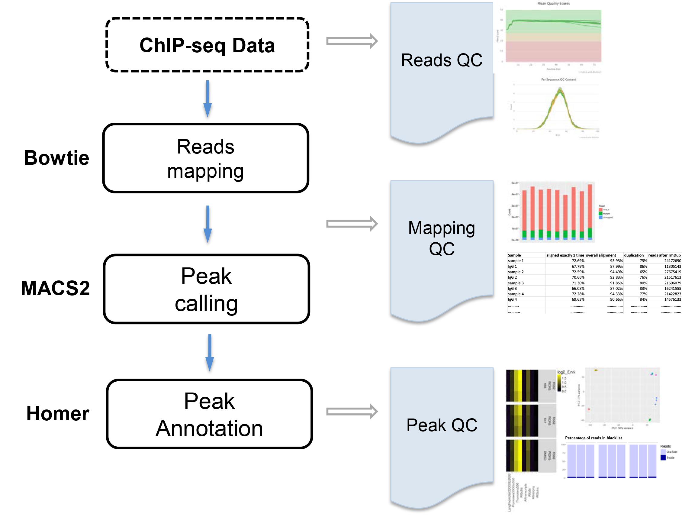 ChIP-seq pipeline