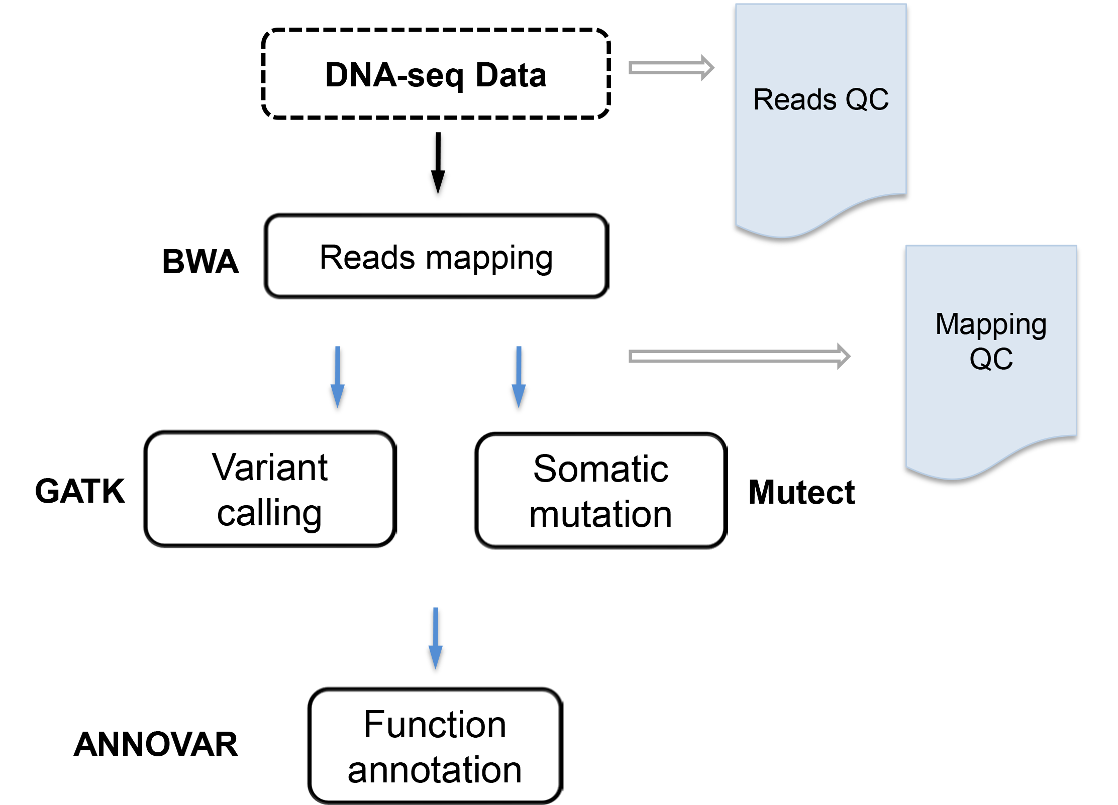 DNA-seq pipeline