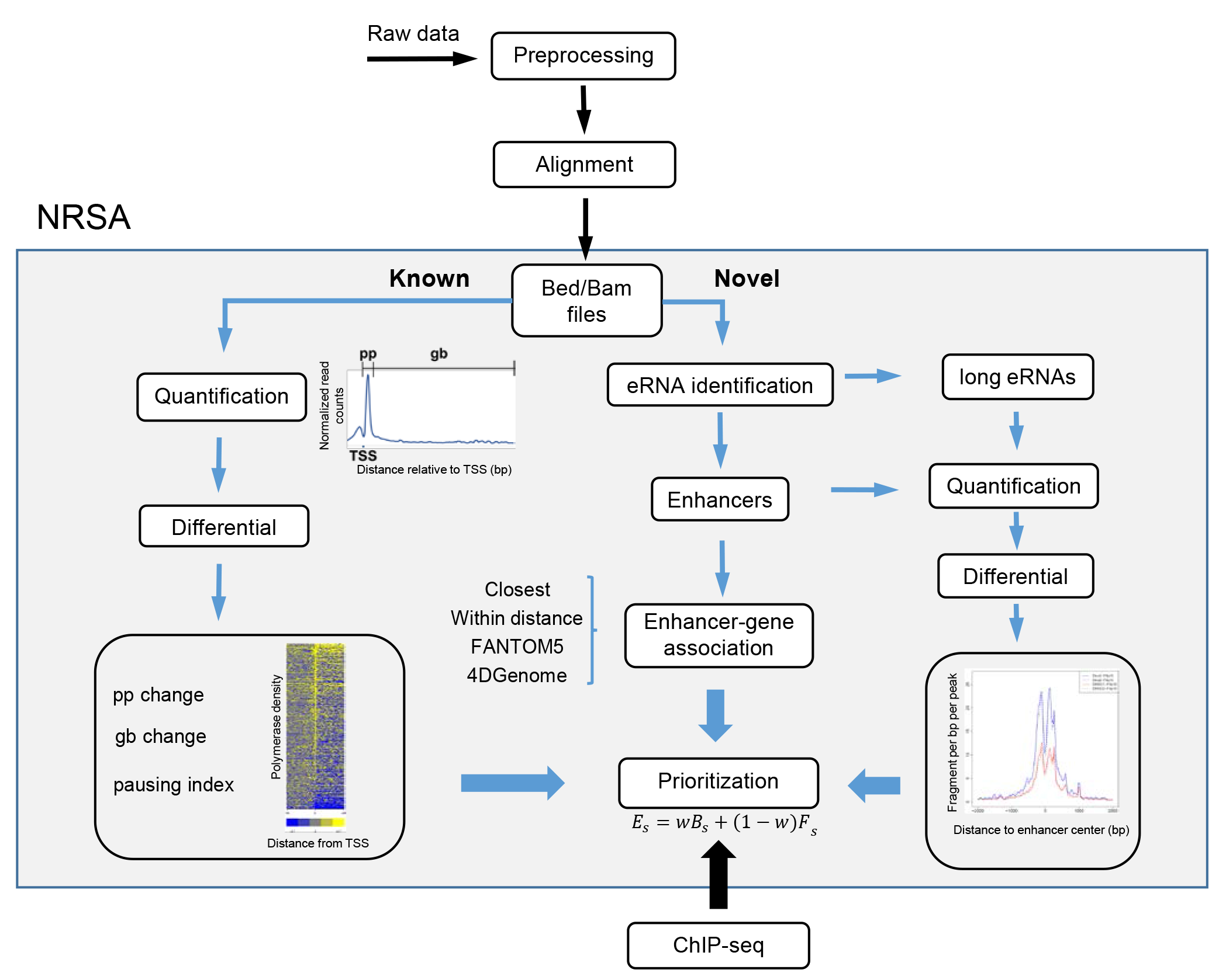 PRO-seq pipeline