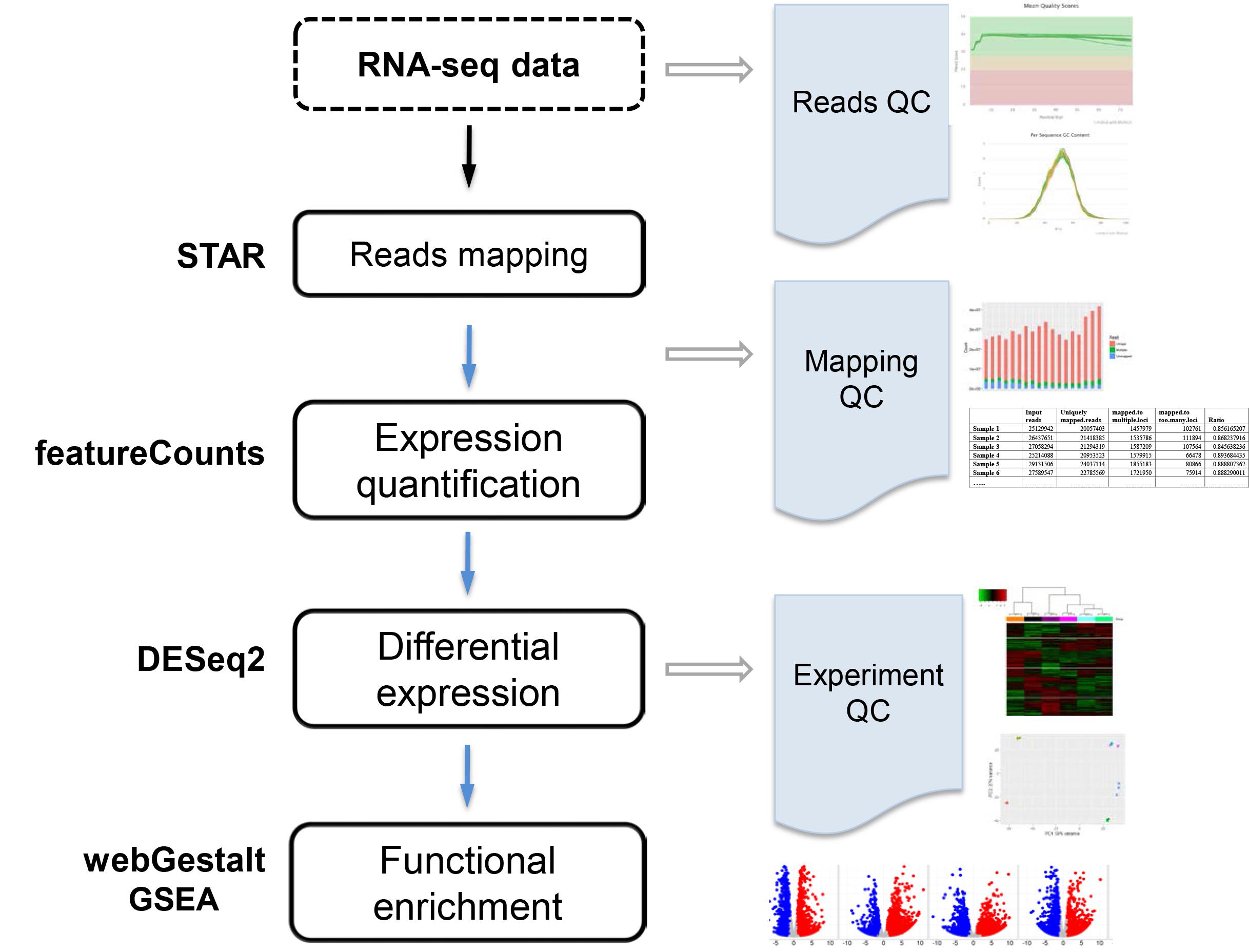 RNA-seq pipeline